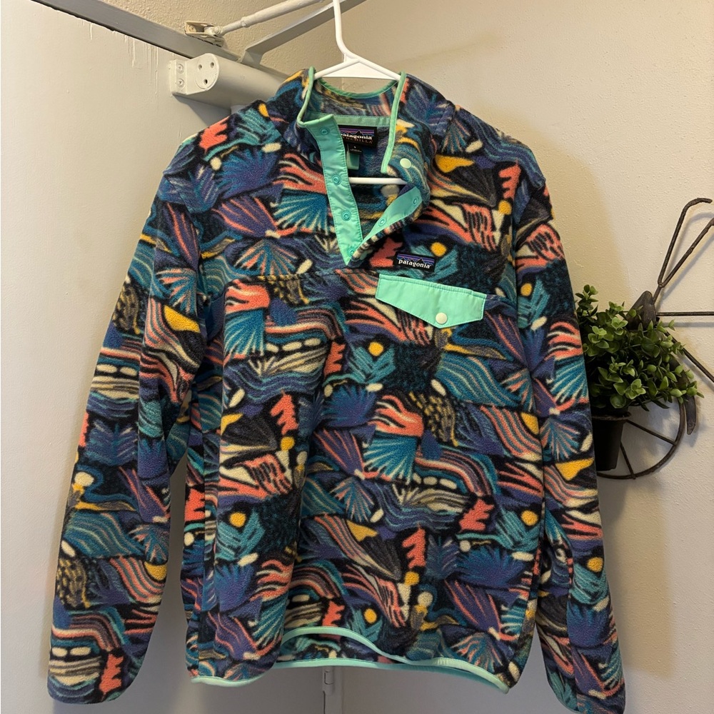 Patagonia Synchilla Fleece